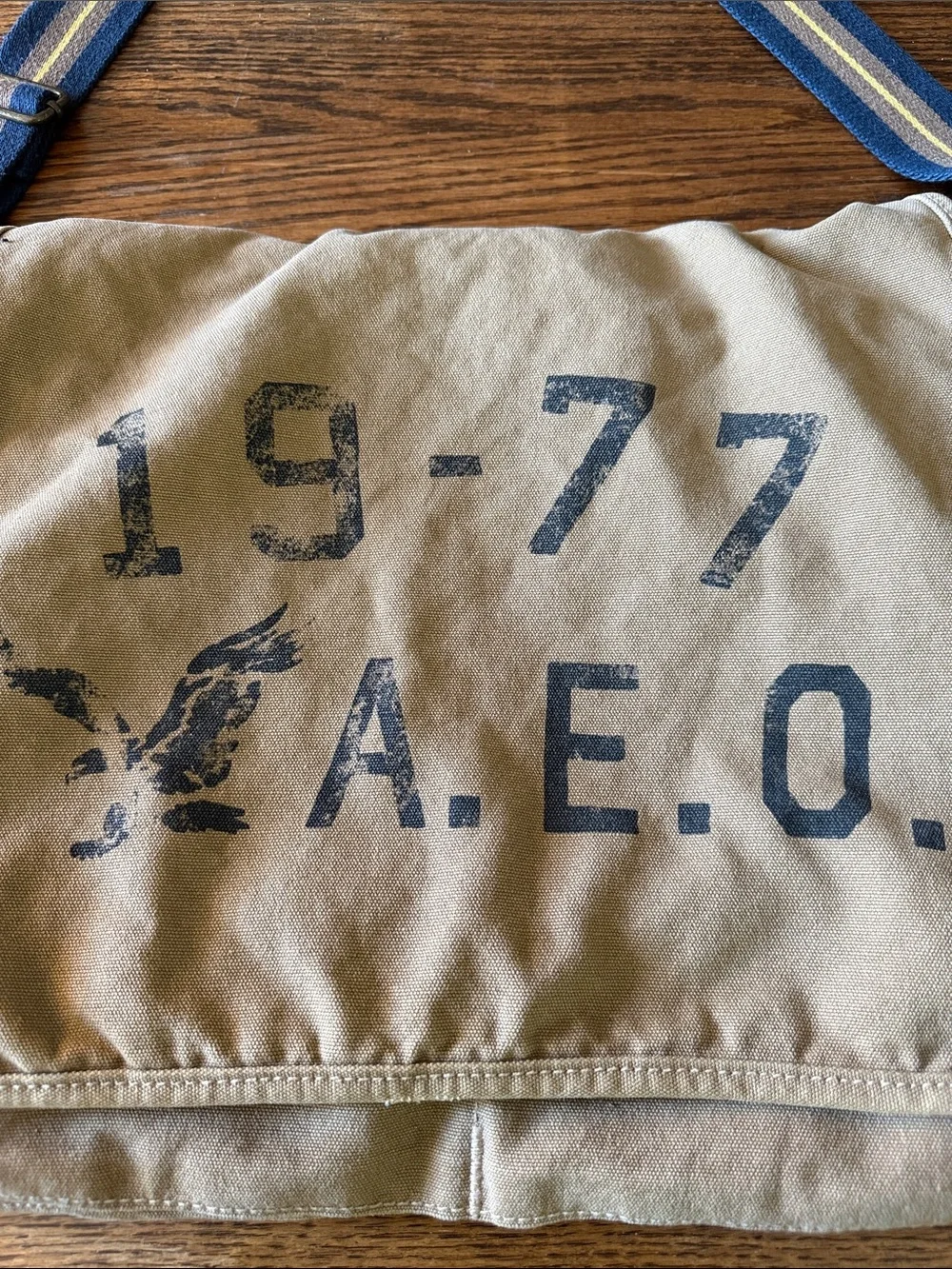 Y2K Canvas Messenger Laptop Bag Utility Crossbody American Eagle 1977
